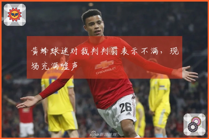 黄蜂球迷对裁判判罚表示不满，现场充满嘘声